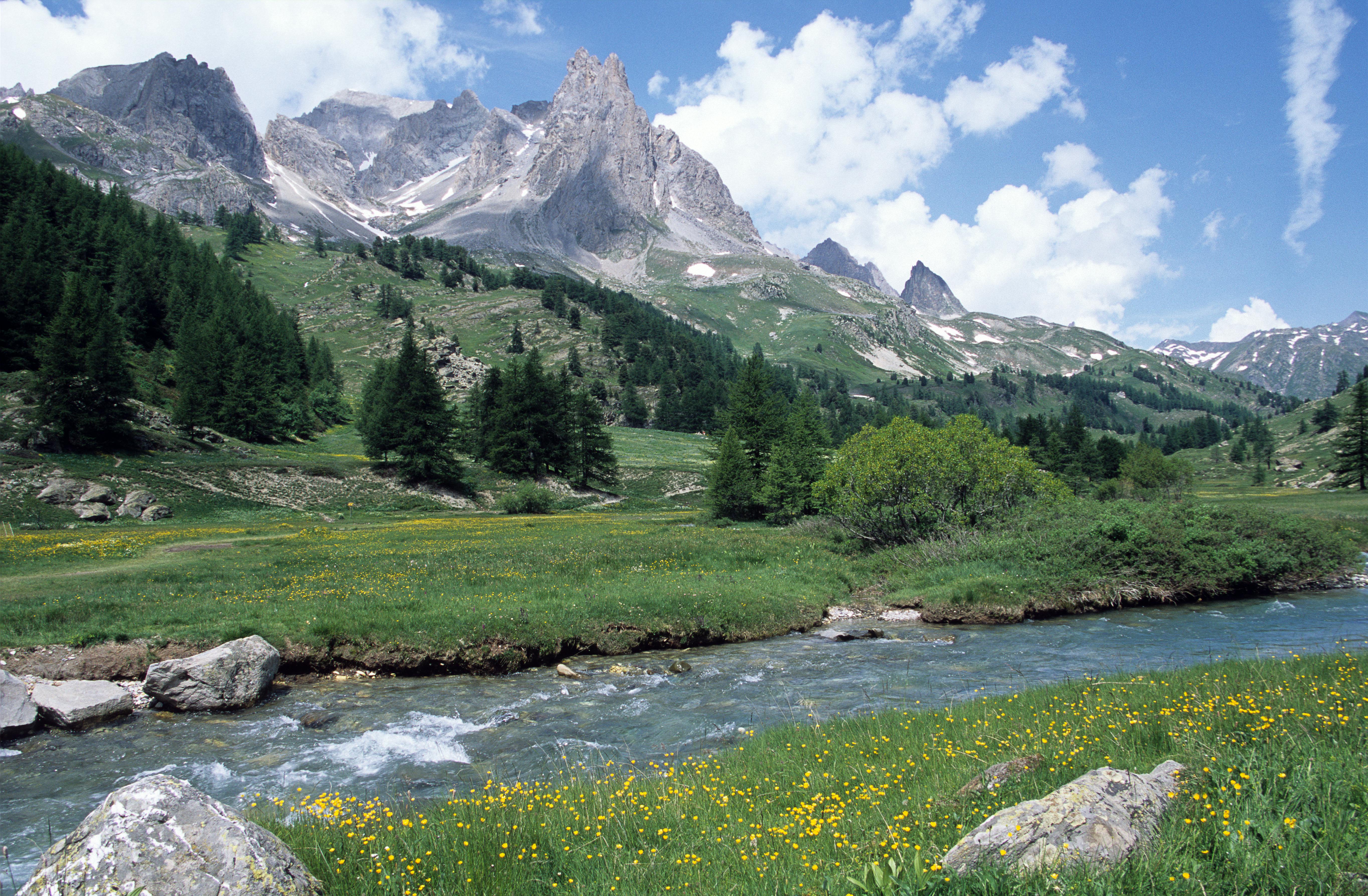 The Alps